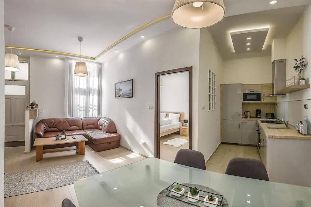 Szechenyi Renovated 2Br At Danube River Budapesta Exterior foto