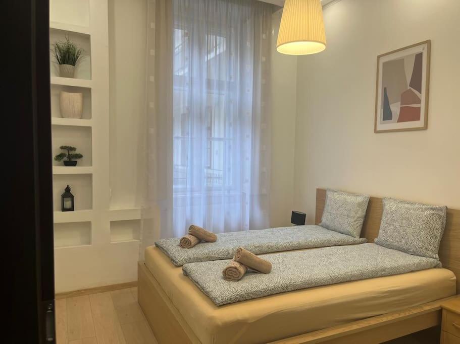 Szechenyi Renovated 2Br At Danube River Budapesta Exterior foto